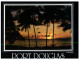 (891) Australia - QLD - Port Douglas At Sunset And Coconut Tree - Far North Queensland