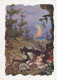 Russia USSR 1958 Fairy-tale Forest, Hare Rabbit Badger - 1950-59