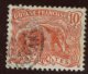 Guyane - Oblitéré - Charnière  Y&T 1904 N° 53 Fourmilier 10c Rose - Oblitérés
