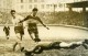 France Football Parc Des Princes Match Racing 4 Cannes 0 Ancienne Photo 1947 - Sports