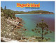 (718) Australia - QLD - Magnetic Island (with RTS / DLO Puprle Postmark At Back Of Card) - Mackay / Whitsundays