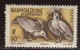 Nouvelle-Calédonie - Neuf - Charnière  Y&T 1948  N° 259 Cagous 10c Jaune Et Brun - Neufs