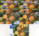 CARTES PREPAYEES  OUTREMER TELECOM  FRUITS  Ananas Oranges Bananes  80FF/80FF/80/12e/10e   (lot De 5)  4366 - Antilles (Françaises)