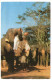 CEYLON/SRI LANKA - ELEPHANTS DEBIWALA ZOO / THEMATIC STAMP-UNESCO - Sri Lanka (Ceylon)