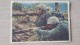 Italia 1942 Cartolina Postale Per Le Forze Armate Concentramento P.M.403.Usata Euro - Used