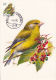 België, Maximumkaarten, Nr 2457/2461, Parus Major, Turdus Merula, Cinclus Cinclus, Carduelis Chloris, Buzin (6682) - Altri & Non Classificati