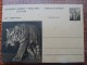 Czechoslovakia Pws 1960 Mi. P 152-7 Zoo Prague Tiger Sibirian Entier Ganzsache Postal Stationery Card Scarce A 24,50 Eur - Autres & Non Classés