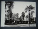 USSR - SOVIET UNION: Somewhere In Crimea Or Sochi - Street People Houses Palm Trees - Old Photo Format 18 X 13 Cm - Lieux