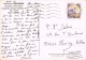 14313. Postal Privada CERVIA (Emilia Romagna) 1981. Pensione ORCHIDEA - 1981-90: Storia Postale