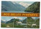 65 - Nos Belles Pyrénées - Autres & Non Classés