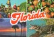 - FLORIDA.  - Scan Verso - - Orlando