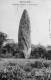 CPA  --  DPT 22  --  QUINTIN  --  LE  MENHIR , DIT  : ROCHE  LONGUE.... - Quintin