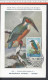 SAINT-MARIN - 1960 - CARTE POSTALE TIMBREE THEME OISEAUX " MARTIN PECHEUR " - - Lettres & Documents