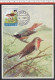 SAINT-MARIN - 1960 - TIMBRE N° 488 SUR CARTE MAXIMUM  THEME OISEAUX " TRAQUET " - - Lettres & Documents