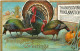 256003-Thanksgiving, Unknown No UP09-2, Thanksgiving Proclamation, Three Turkeys With Wishbone By Pumpkin - Thanksgiving