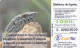 SPAIN   Phonecard With Chip  Reptile, Lizard - Cocodrilos Y Aligatores