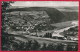 3 Foto-AK ´Polle + Neuhaus Im Solling' (LK Holzminden) ~ 1954 - Holzminden