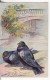 Carte Postale Fantaisie Gauffrée PIGEON - OISEAU - ANIMAUX - VOIR 2 SCANS - - Birds