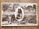 45895 POSTCARD: HAMPSHIRE: The New Forest. - Other & Unclassified