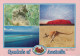 SYMBOLS  OF  AUSTRALIA   BY  STEVE PARISH       12X17      (VIAGGIATA) - Altri & Non Classificati