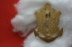 11 éme RAMA Régiment MARIN MILITARIA->INSIGNE BROCHE Médaille MILITAIRE MARINE  ->COLLECTION ARTHUS-BERTRAND - Marine