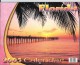 Calendrier Américain Floride 2005. "Florida Calendar 2005". - Tamaño Grande : 2001-...