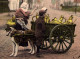 ATTELAGE DE CHIEN LAITIERE ET AGENT DE POLICE HONDENKAR MELKMEISJE Dog Drawn Cart GENDARME Voiture Chiens LAIT 3198 - Venters