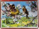 " Mes Belles Patiences " - Boite De Quatre Puzzles En Bois - Thèmes " Chiens Et Chats "  . - Puzzles