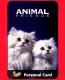 Italia - Nuovo - Cards - PaperDream - Animal Friends  - Animali - Gatti - Gift Cards