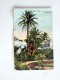 Carte Postale Ancienne : BERMUDA : Date Palms At St GEORGES, Stamp 1938 - Bermuda