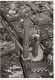 Emilia Romagna-bologna Torre Degli Asinelli E Della Garisenda Particolare(vedi Retro Cart.ferrania)veduta Aerea 1938 - Bologna