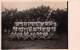 03955 "25 X 400 MT. KREISSTAFFEL  - 1. SIEGER B.T. - 1926" ANIMATA. FOTOGRAFIA ORIGINALE. - Sport