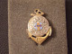 Insignes Militaire " 4e Régiment D'Infanterie De Marine - RIMa" Military Badges "" - RARE - Marine