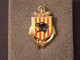 Insignes Militaire " 24e Régiment D'Infanterie De Marine - RIMa" Military Badges "" - RARE - Marine