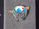 Insignes Militaire "LIVRAISON PAR AIR. (R.L.A.)" -  Military Badges - RARE - Airforce