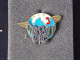 Insignes Militaire "LIVRAISON PAR AIR. (R.L.A.)" -  Military Badges - RARE - Airforce