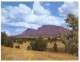 (PF 368) Australia - SA - Flinders Ranges Wilpena Station - Flinders Ranges