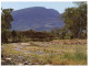 (PF 368) Australia - SA - Flinders Ranges Red Cliffed Creek - Flinders Ranges