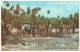 Seine Fishing At Mayaro, Trinidad - 1974 - Trinidad