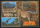 Kenia. *Safari Through Game Parks* Ed. Kenya Stationers Nº 122. Circulada 1979. - Kenia