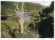 (PF 754) Ireland - Co Wicklow - Moore's Tree - Wicklow