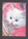 Belarus 2000. Postcard. Birthday Greetings Fauna Cat Pets - Weißrussland