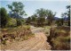 Typical Creek, Flinders Ranges, South Australia - Trueview  FR 42 Unused - See Notes - Flinders Ranges