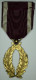 Belgique Belgium " Order Of The Crown Golden Palms " 1908 Gold Plated - Belgio