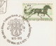 Austria – 1973 – FDC – 100 Anniversaire De L'Association Viennoise Des Courses De Trot - FDC