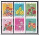 Gabon 1971, Postfris MNH, Flowers ( 1 Stamp See Scan ) - Gabon (1960-...)