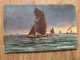 46906 POSTCARD: ESSEX: Off The Maplin Sands. - Other & Unclassified