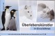 Dieren Boekje Met 8 Exclusive Zegels Overlevingskunstenaars 2014 - Neufs