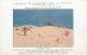 Ref  J829- Publicite Cie De Navigation Mixte Cie Touache -le Desert - Tripoli - Libye   - Carte Bon Etat  - - Libye