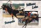 Rodeo Action, Stampede, Bull Riding, Saddle Bronc, WILLIAMS LAKE, BC, CARIBOO, BRITISH COLUMBIA, CANADA, Postcard, Carte - Other & Unclassified